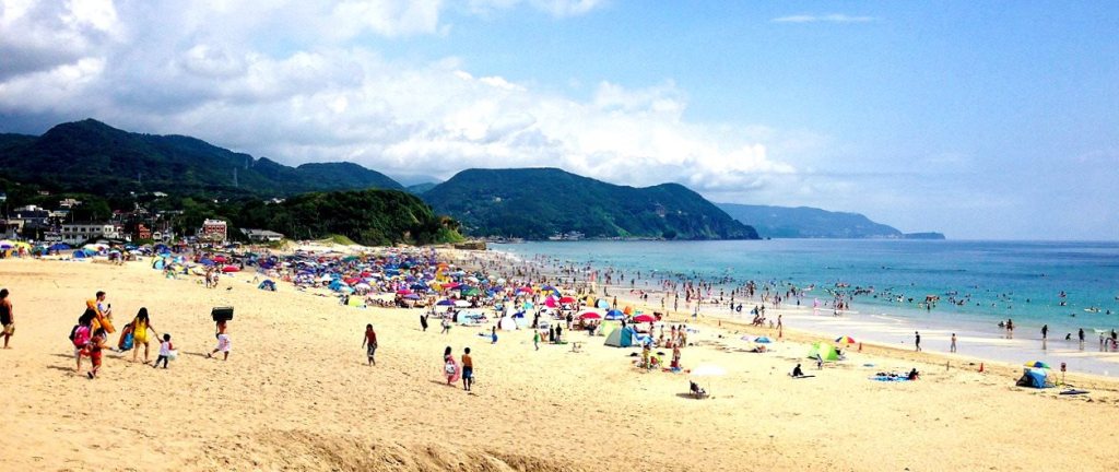 965774_10151823822344434_907816632_o