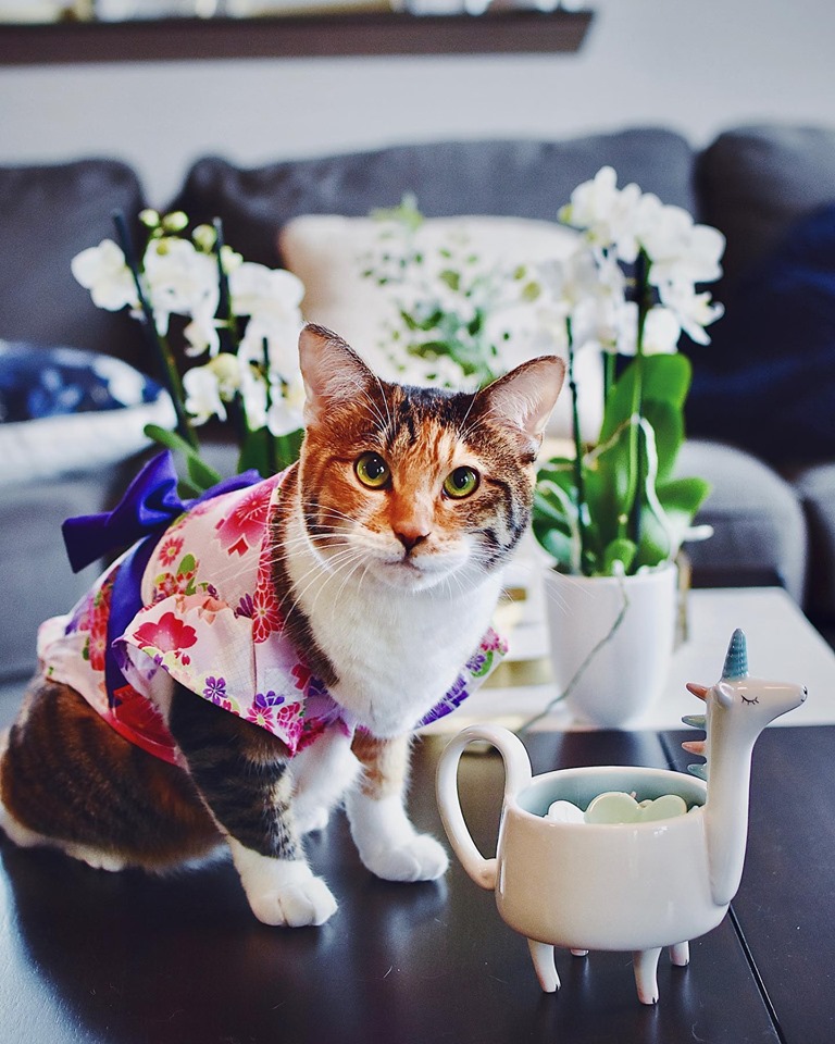 Clémentine Turns Five